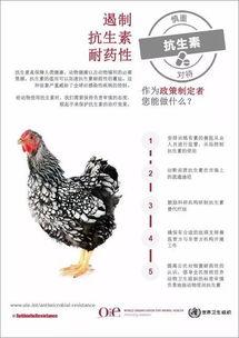 文案生成器免费手机版下载 