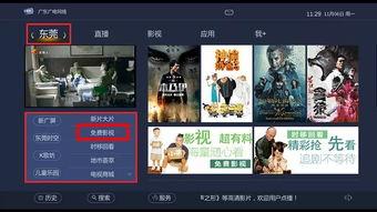 闪电免费小说 